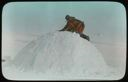 Image of Man On Top of Snow-house